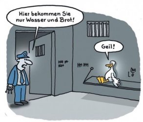 4Unbenannt - Kopie.JPG