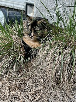 IMG_5757.jpeg