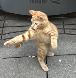 IMG_1307.jpeg