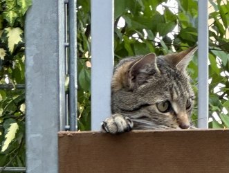 IMG_1260.jpeg