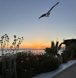 IMG_3478.jpeg