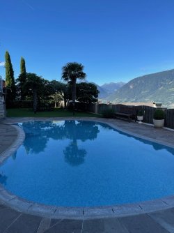 IMG_9726.jpeg