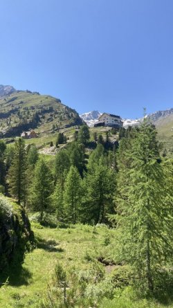 IMG_3255.jpeg
