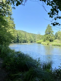 IMG_7006.jpeg