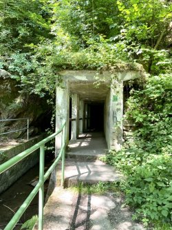 IMG_7003.jpeg