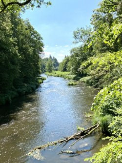 IMG_7002.jpeg