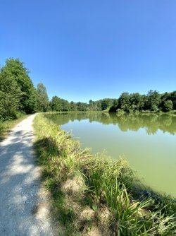IMG_6994.jpeg