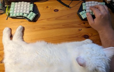 tastatur.jpg