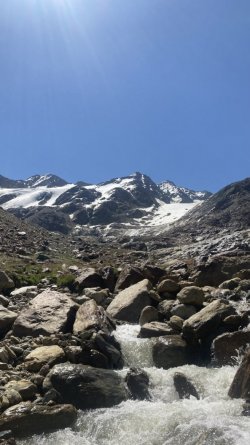 IMG_3365.jpeg