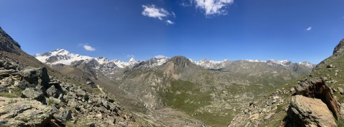 IMG_3368.jpeg