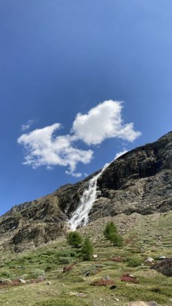IMG_3386.jpeg