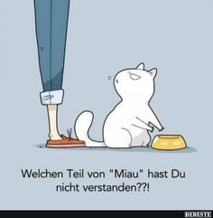 cebb939b88192a4edd1a220206c50985--cats-funny-stuff.jpg