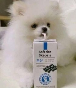 skeptisch.jpg