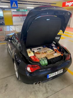Zetti.jpg