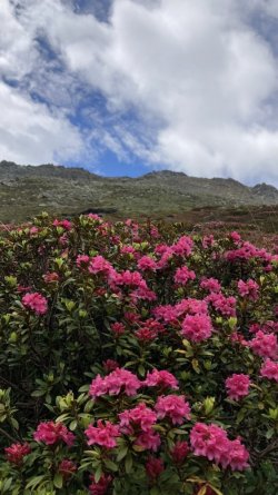 IMG_3476.jpeg