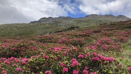 IMG_3477.jpeg