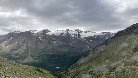 IMG_3488.jpeg