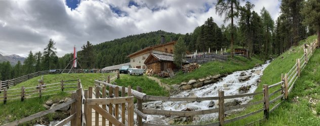 IMG_3508.jpeg