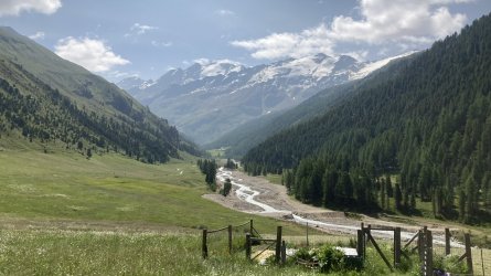 IMG_3526.jpeg