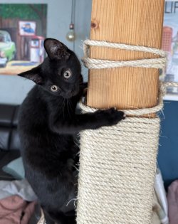 IMG_1476.jpeg