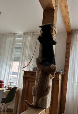 IMG_1480.jpeg