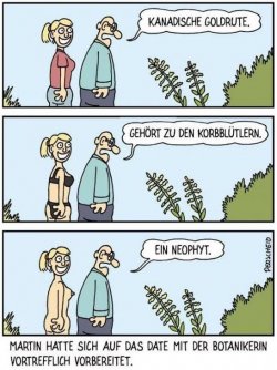 3Unbenannt - Kopie.JPG