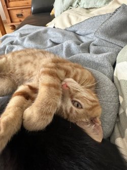 IMG_1502.jpeg