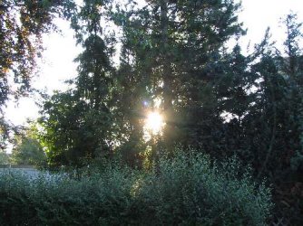 IMG_3856_500.JPG