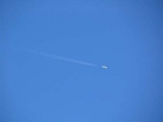 IMG_3863_500.JPG