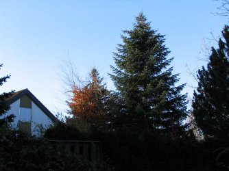 041114morgen.JPG