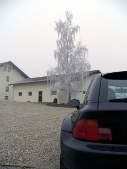 041212.jpg