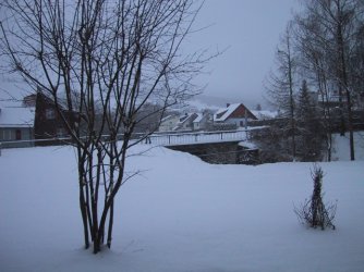 Winter 01.JPG