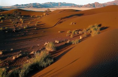 Namib Dünen.jpg