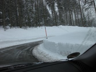 IMG_1185.jpg