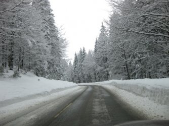 IMG_1192.jpg