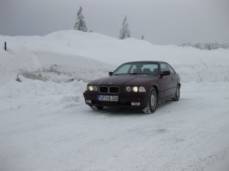 IMG_1197.jpg