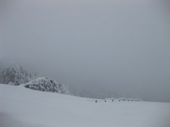 IMG_1201.jpg