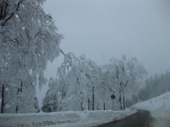 IMG_1205.jpg