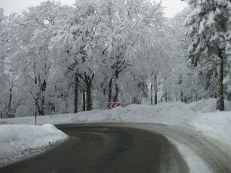 IMG_1208.jpg