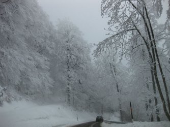 IMG_1212.jpg