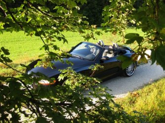 Hattinger Loch 15.08.2009 (40).jpg