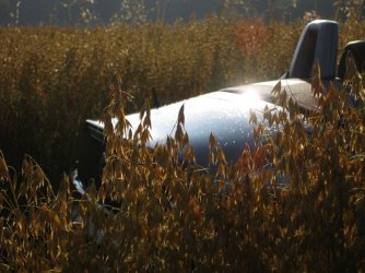 Hattinger Loch 15.08.2009 (62).jpg