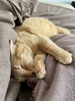 IMG_6118.jpeg