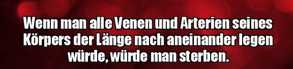 9Unbenannt - Kopie.JPG