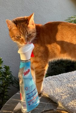 IMG_3432.jpeg