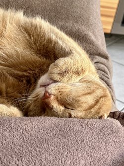 IMG_6190.jpeg