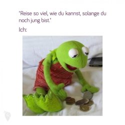 IMG_1458.jpeg