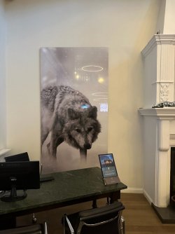 IMG_1547.jpeg