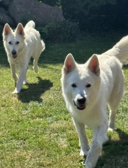 IMG_1638.jpeg