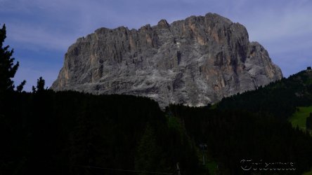 DSC02634.JPG